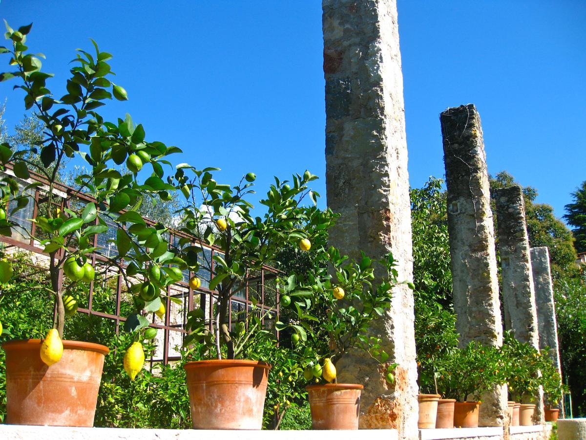 טורי דל בנקו Hotel Belvedere מראה חיצוני תמונה